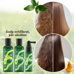 Pachet cadou -  Șampon, Balsam & Ser pentru scalp sensibil și păr gras, cu Ulei de Arbore de Ceai, Rozmarin și Mentă, Sevich - imagine 3