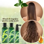 Pachet cadou -  Șampon, Balsam & Ser pentru scalp sensibil și păr gras, cu Ulei de Arbore de Ceai, Rozmarin și Mentă, Sevich - imagine 5