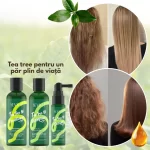 Pachet cadou -  Șampon, Balsam & Ser pentru scalp sensibil și păr gras, cu Ulei de Arbore de Ceai, Rozmarin și Mentă, Sevich - imagine 7