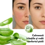 Gel Aloe Vera Hidratant 300ml pentru Fata si Corp, Envisha by Verilaria, 300ml - imagine 5